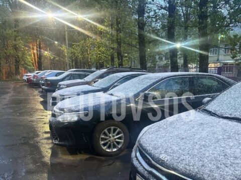 В Реутове выпал майский снег Новости Реутова 